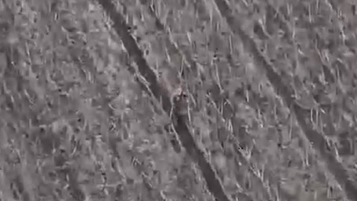 Идут по полю и гибнут: в ЦПД показали, как россияне используют своих раненых на костылях